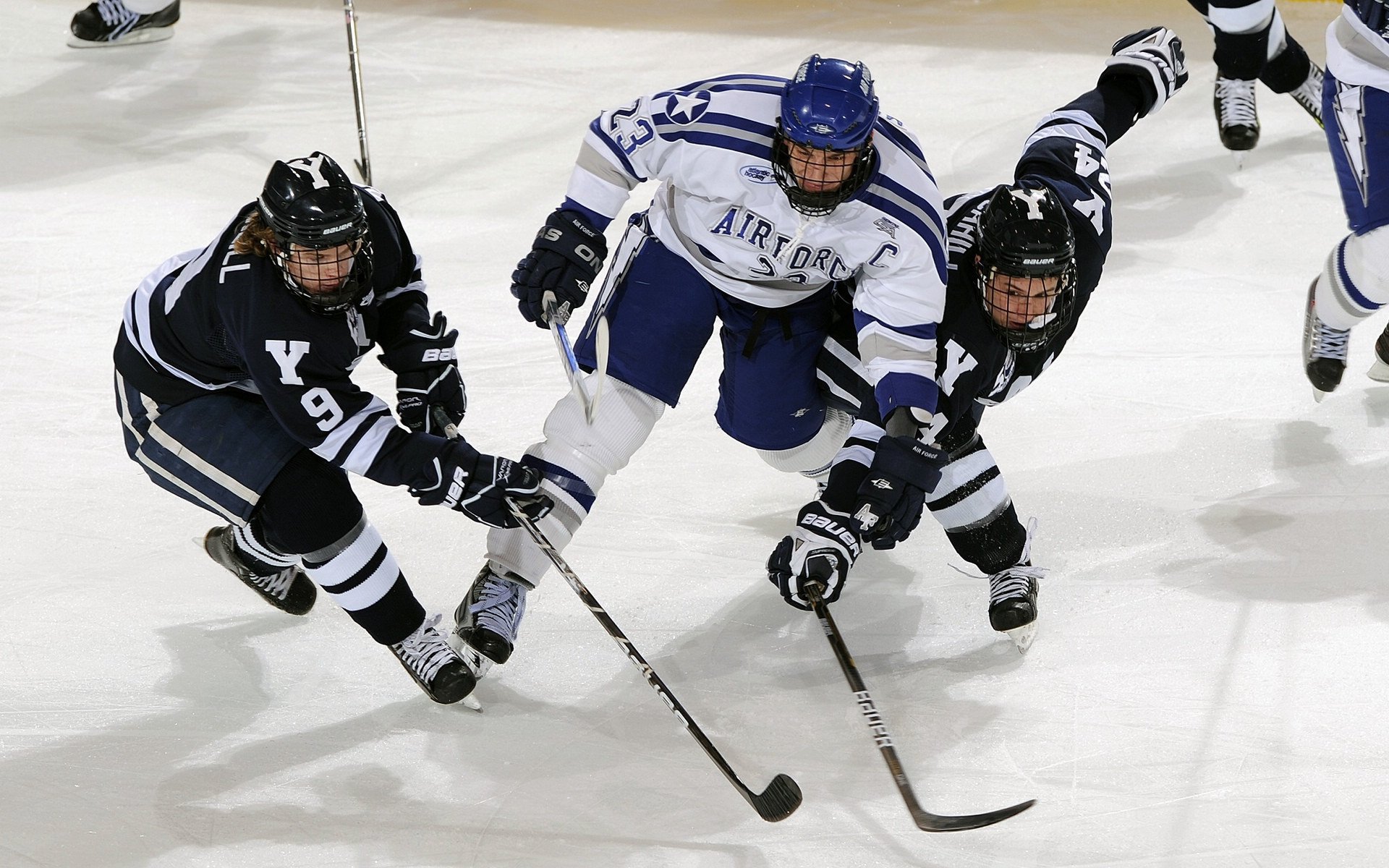 _鹈鹕队潜力无限,逐步追赶领先者_,鹈鹕队改名前是哪个队
